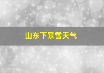 山东下暴雪天气