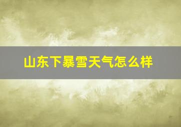 山东下暴雪天气怎么样