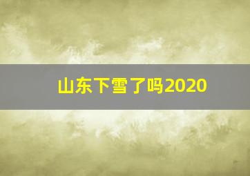 山东下雪了吗2020