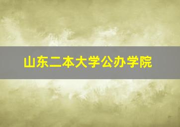 山东二本大学公办学院