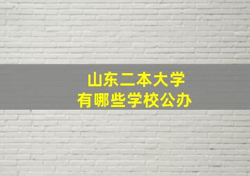 山东二本大学有哪些学校公办