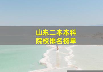 山东二本本科院校排名榜单