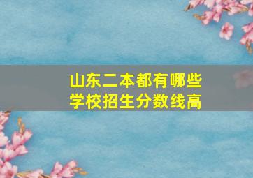 山东二本都有哪些学校招生分数线高