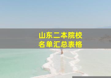 山东二本院校名单汇总表格