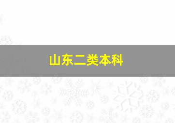 山东二类本科