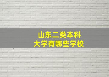 山东二类本科大学有哪些学校