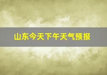 山东今天下午天气预报