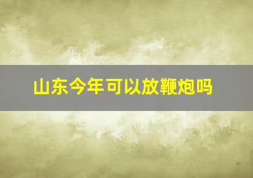 山东今年可以放鞭炮吗