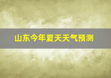 山东今年夏天天气预测