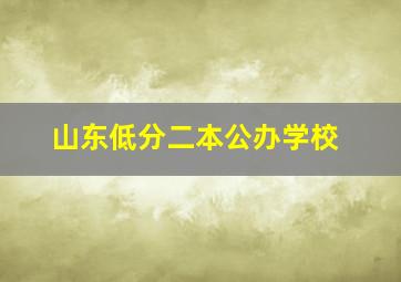 山东低分二本公办学校