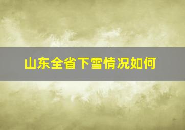 山东全省下雪情况如何