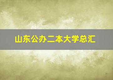 山东公办二本大学总汇