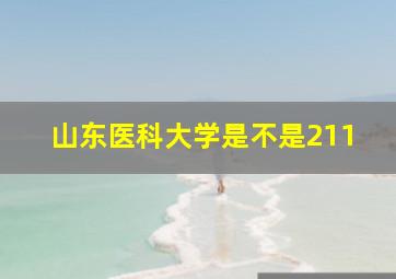 山东医科大学是不是211