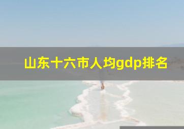 山东十六市人均gdp排名