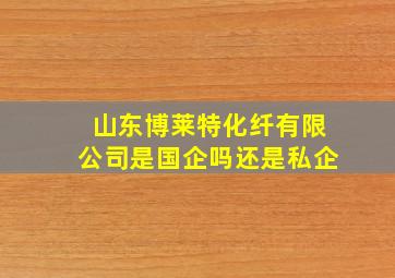 山东博莱特化纤有限公司是国企吗还是私企