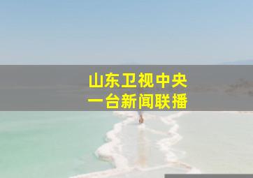 山东卫视中央一台新闻联播