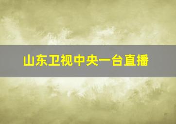 山东卫视中央一台直播