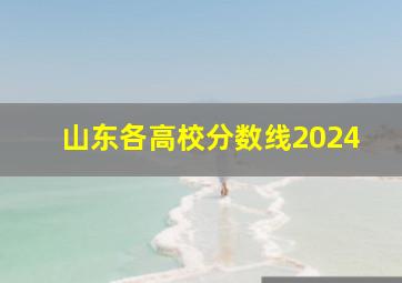 山东各高校分数线2024