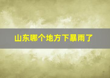 山东哪个地方下暴雨了