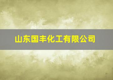 山东国丰化工有限公司