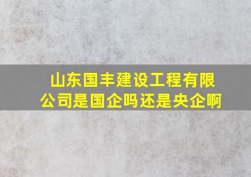 山东国丰建设工程有限公司是国企吗还是央企啊