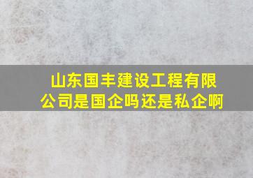 山东国丰建设工程有限公司是国企吗还是私企啊