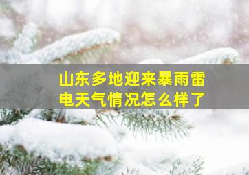 山东多地迎来暴雨雷电天气情况怎么样了