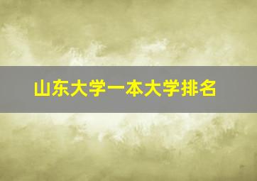 山东大学一本大学排名