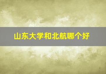 山东大学和北航哪个好