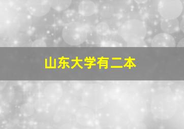 山东大学有二本