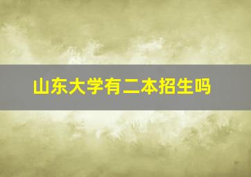 山东大学有二本招生吗