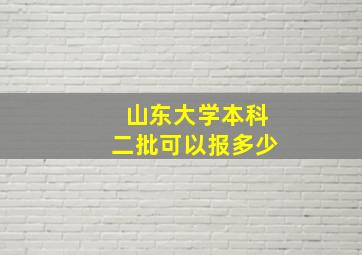 山东大学本科二批可以报多少