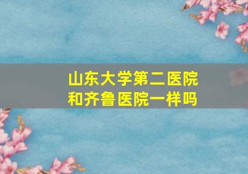 山东大学第二医院和齐鲁医院一样吗