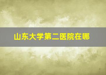 山东大学第二医院在哪