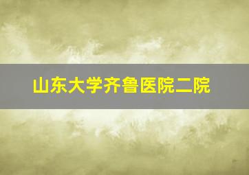 山东大学齐鲁医院二院