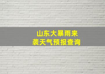 山东大暴雨来袭天气预报查询