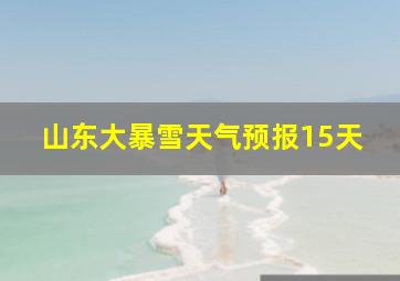 山东大暴雪天气预报15天