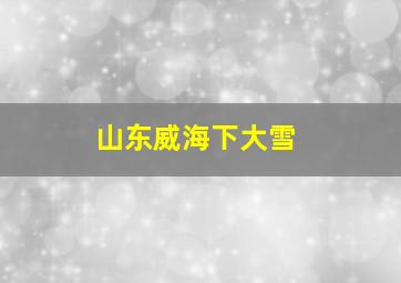 山东威海下大雪