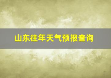 山东往年天气预报查询