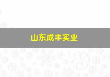 山东成丰实业