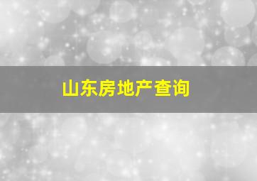 山东房地产查询