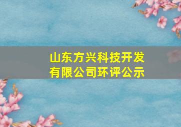 山东方兴科技开发有限公司环评公示