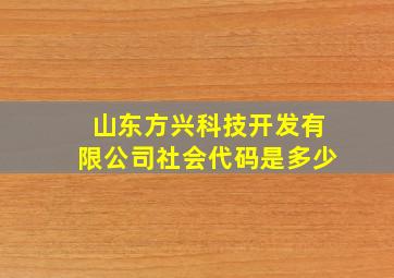 山东方兴科技开发有限公司社会代码是多少