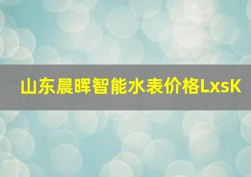 山东晨晖智能水表价格LxsK