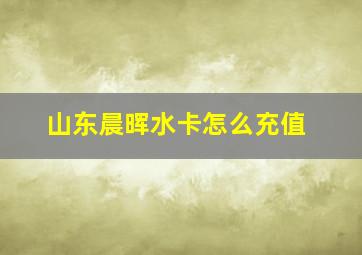 山东晨晖水卡怎么充值