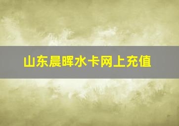 山东晨晖水卡网上充值