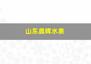 山东晨晖水表