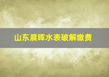 山东晨晖水表破解缴费