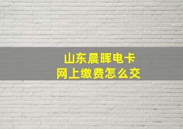 山东晨晖电卡网上缴费怎么交