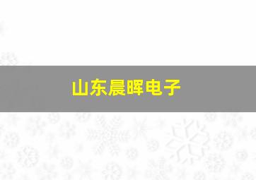 山东晨晖电子